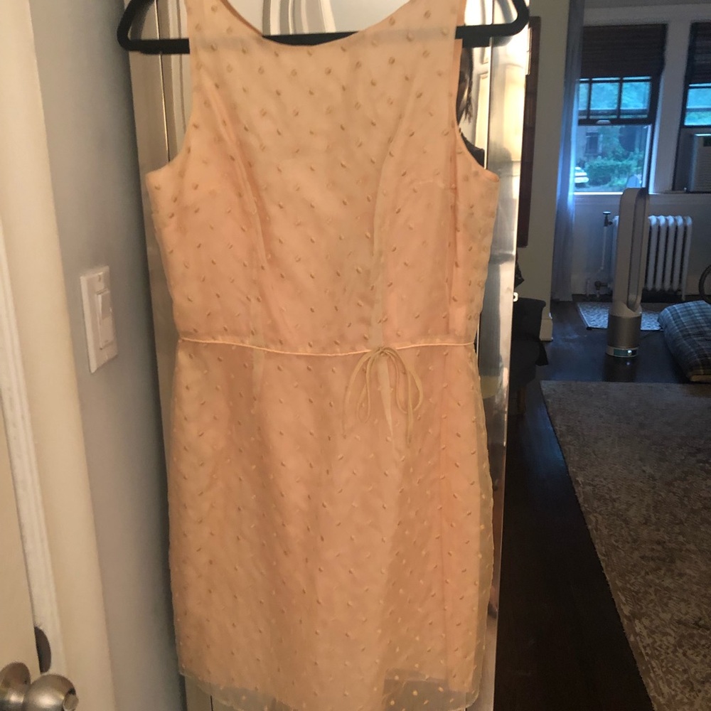 Ladies dress tag size 12 fits like 8